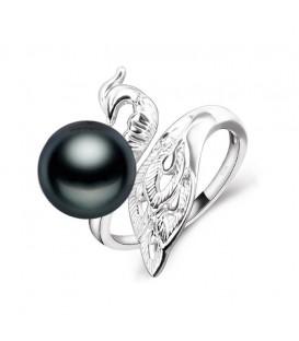 On The Crest Of Phoenix