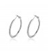 Shiny Beauty Hoops